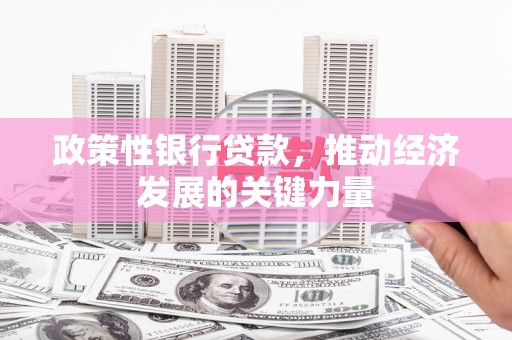 燕巢政策性银行贷款，推动经济发展的关键力量