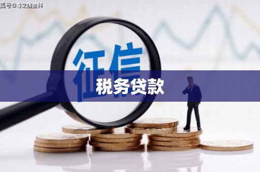 燕巢税务贷款