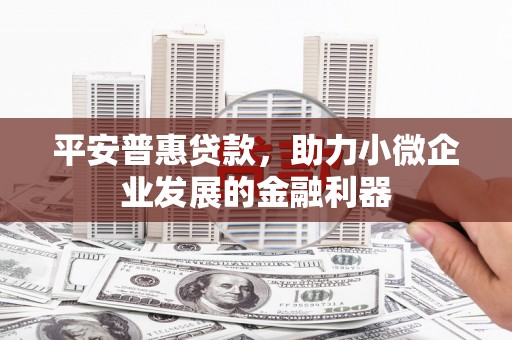 燕巢平安普惠贷款，助力小微企业发展的金融利器