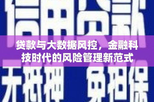 燕巢贷款与大数据风控，金融科技时代的风险管理新范式