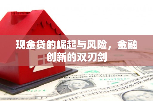 燕巢现金贷的崛起与风险，金融创新的双刃剑