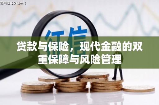 燕巢贷款与保险，现代金融的双重保障与风险管理