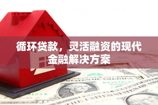 燕巢循环贷款，灵活融资的现代金融解决方案
