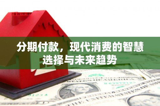 燕巢分期付款，现代消费的智慧选择与未来趋势