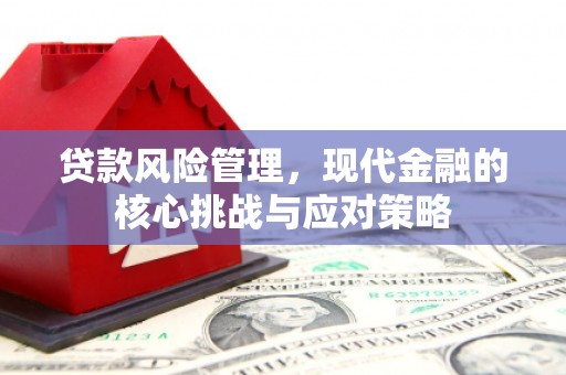 燕巢贷款风险管理，现代金融的核心挑战与应对策略