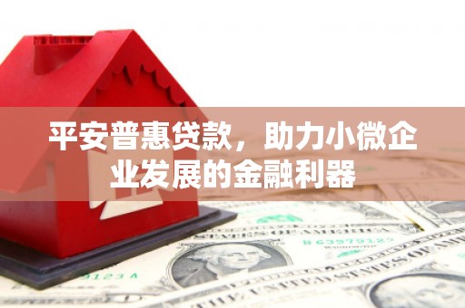 燕巢平安普惠贷款，助力小微企业发展的金融利器