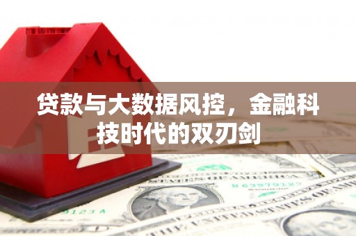 燕巢贷款与大数据风控，金融科技时代的双刃剑