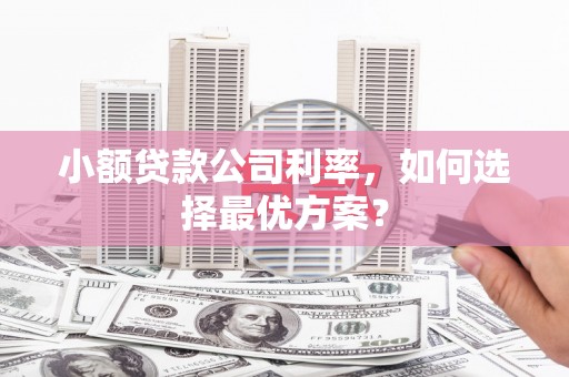 燕巢小额贷款公司利率，如何选择最优方案？