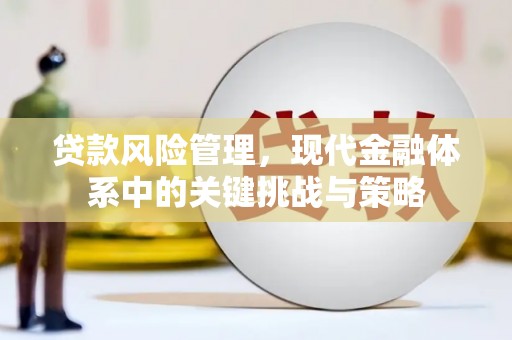 燕巢贷款风险管理，现代金融体系中的关键挑战与策略