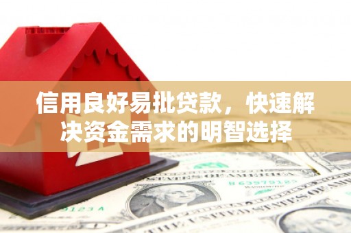 燕巢信用良好易批贷款，快速解决资金需求的明智选择