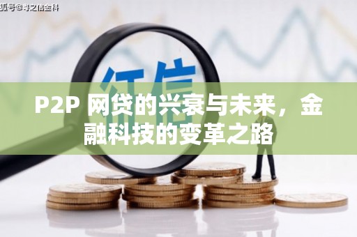 燕巢P2P 网贷的兴衰与未来，金融科技的变革之路