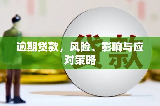 燕巢逾期贷款，风险、影响与应对策略