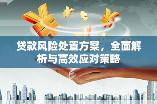 燕巢贷款风险处置方案，全面解析与高效应对策略