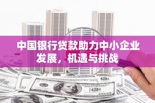 燕巢中国银行贷款助力中小企业发展，机遇与挑战