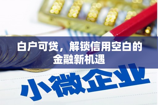 燕巢白户可贷，解锁信用空白的金融新机遇