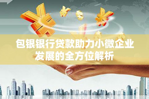燕巢包银银行贷款助力小微企业发展的全方位解析