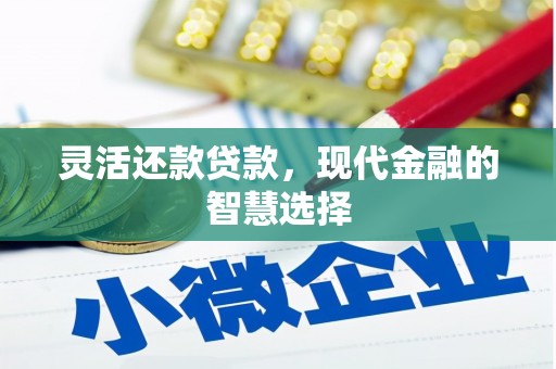 燕巢灵活还款贷款，现代金融的智慧选择