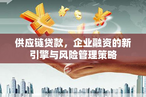 燕巢供应链贷款，企业融资的新引擎与风险管理策略