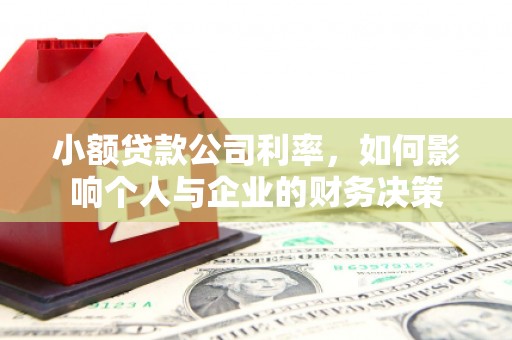 燕巢小额贷款公司利率，如何影响个人与企业的财务决策