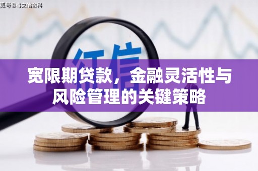 燕巢宽限期贷款，金融灵活性与风险管理的关键策略