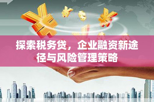 燕巢探索税务贷，企业融资新途径与风险管理策略