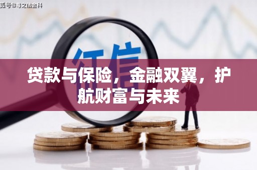 燕巢贷款与保险，金融双翼，护航财富与未来