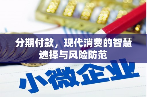 燕巢分期付款，现代消费的智慧选择与风险防范