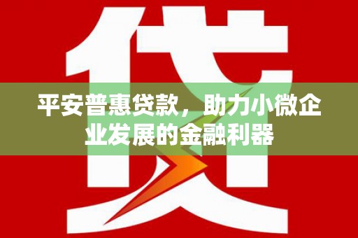 燕巢平安普惠贷款，助力小微企业发展的金融利器