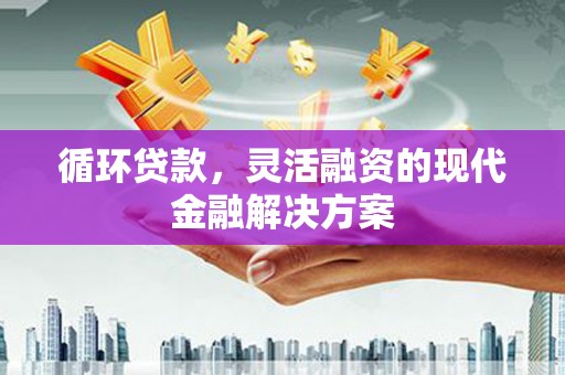 燕巢循环贷款，灵活融资的现代金融解决方案