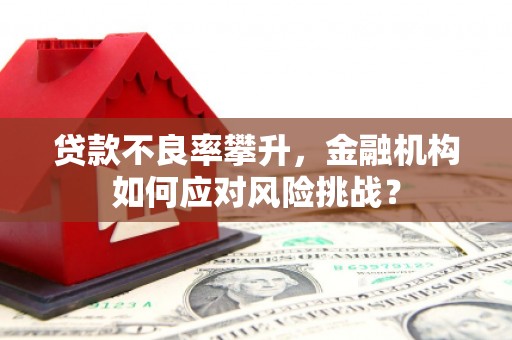 燕巢贷款不良率攀升，金融机构如何应对风险挑战？
