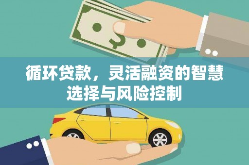 燕巢循环贷款，灵活融资的智慧选择与风险控制