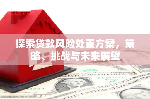 燕巢探索贷款风险处置方案，策略、挑战与未来展望