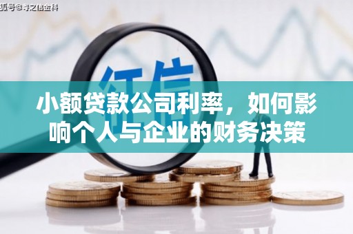 燕巢小额贷款公司利率，如何影响个人与企业的财务决策