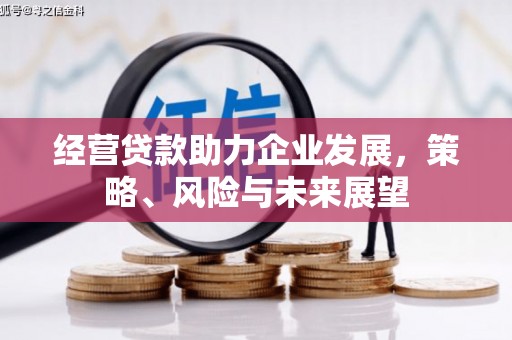 燕巢经营贷款助力企业发展，策略、风险与未来展望