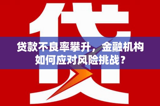 燕巢贷款不良率攀升，金融机构如何应对风险挑战？