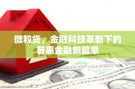 燕巢微粒贷，金融科技革新下的普惠金融新篇章