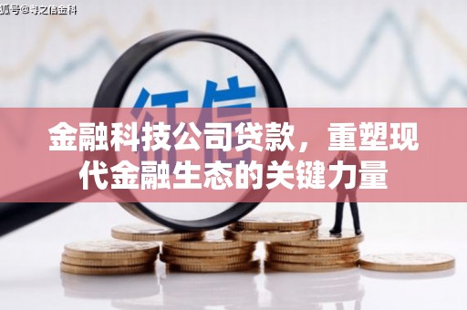 燕巢金融科技公司贷款，重塑现代金融生态的关键力量