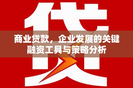 燕巢商业贷款，企业发展的关键融资工具与策略分析