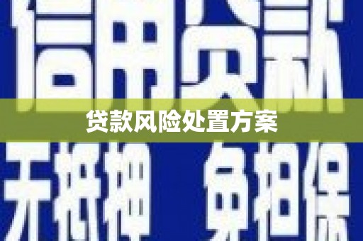燕巢贷款风险处置方案