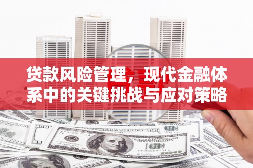 燕巢贷款风险管理，现代金融体系中的关键挑战与应对策略