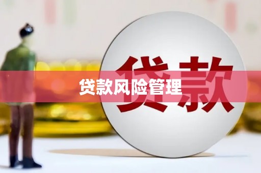 燕巢贷款风险管理