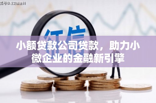 燕巢小额贷款公司贷款，助力小微企业的金融新引擎