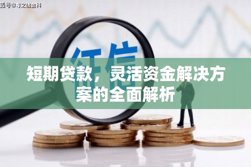 燕巢短期贷款，灵活资金解决方案的全面解析