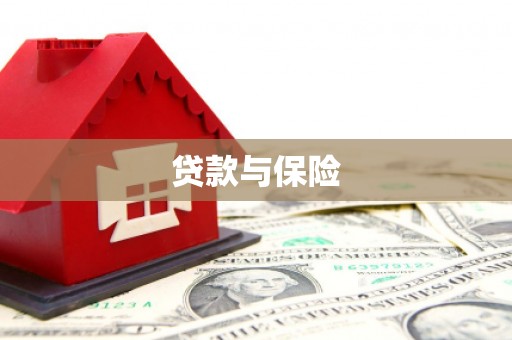 燕巢贷款与保险