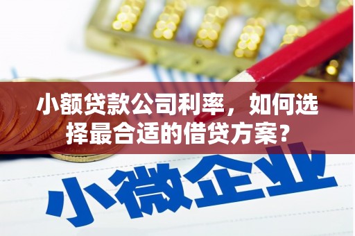 燕巢小额贷款公司利率，如何选择最合适的借贷方案？