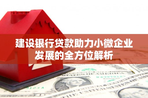 燕巢建设银行贷款助力小微企业发展的全方位解析