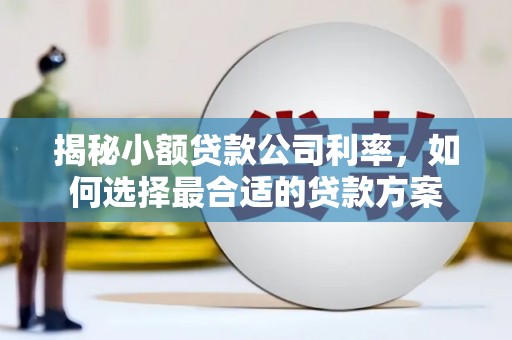 燕巢揭秘小额贷款公司利率，如何选择最合适的贷款方案