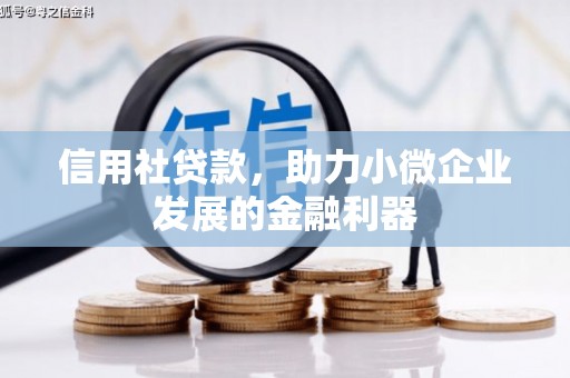燕巢信用社贷款，助力小微企业发展的金融利器