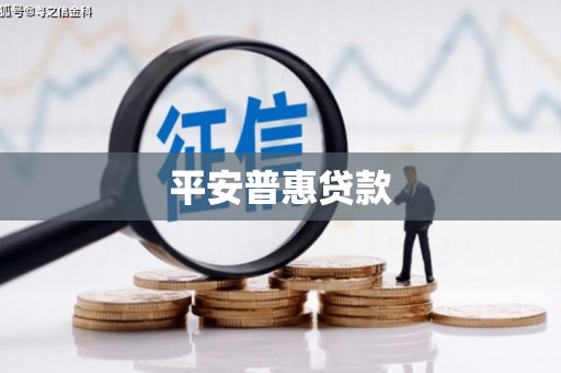 燕巢平安普惠贷款