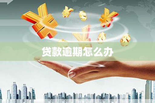 燕巢贷款逾期怎么办
